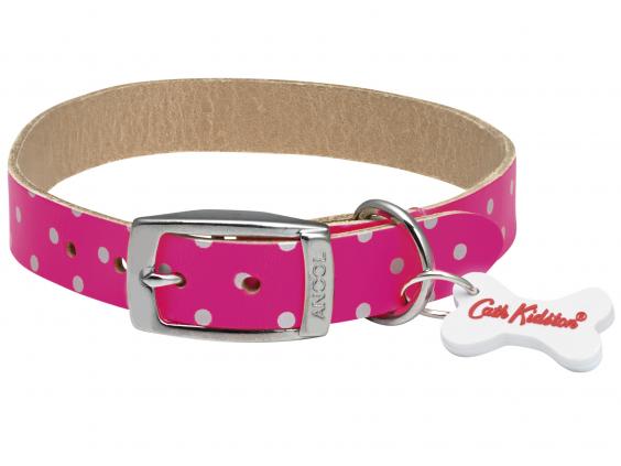 dog collar sizes by breed
